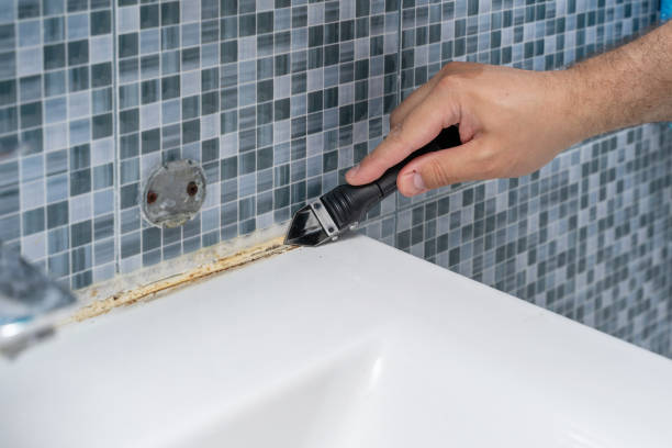 Best Residential Mold Remediation in Gardnerville, NV