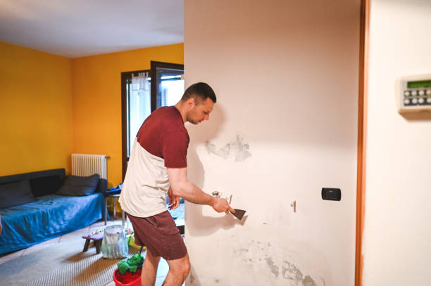 Best Commercial Mold Remediation in Gardnerville, NV